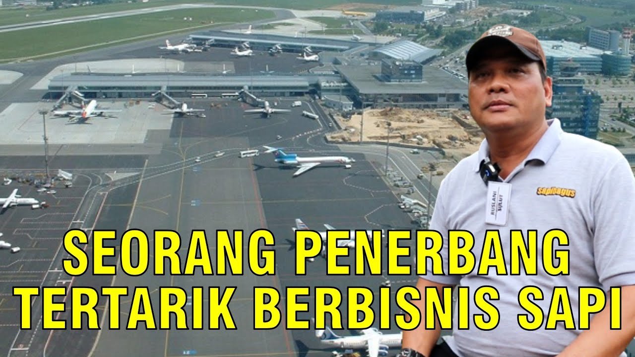 
                                 Profesi-Penerbang-Berbisnis-Sapi